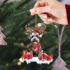 il fullxfull.5454786167 nqrw - Schnauzer Merch